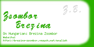 zsombor brezina business card